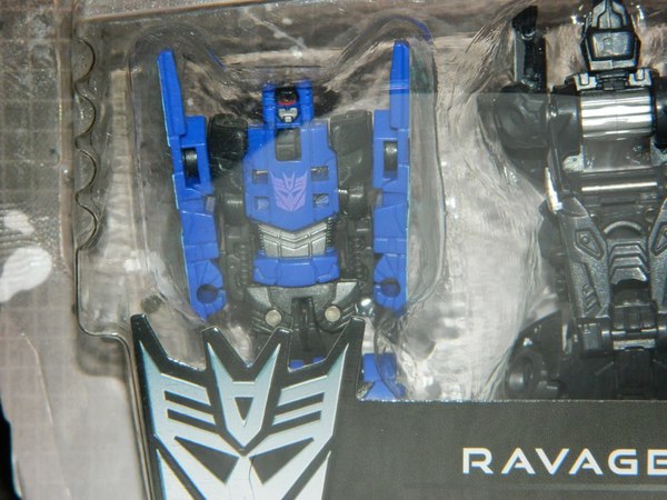 Transformers Fall Of Cybertron Minions Rumble, Frenzy, Ravage And Ratbat In Hand Images Of Wave 1 Toys  (6 of 42)